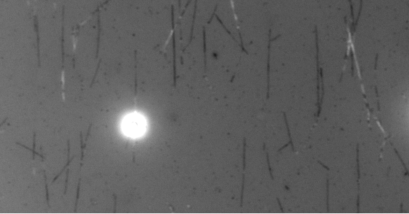 ../_images/cytoskeletal_kinesin_bead_open_loop_bead_on_MT.png