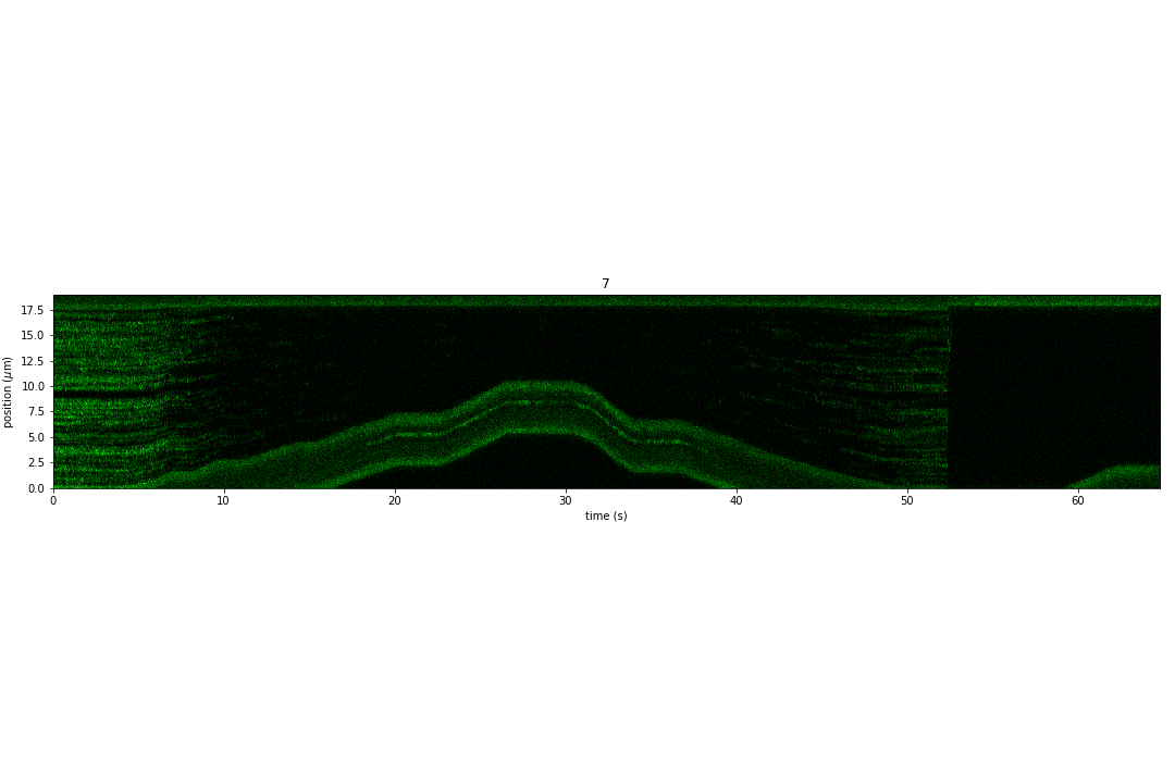 ../_images/dna_rna-protein_force_kymograph1.png