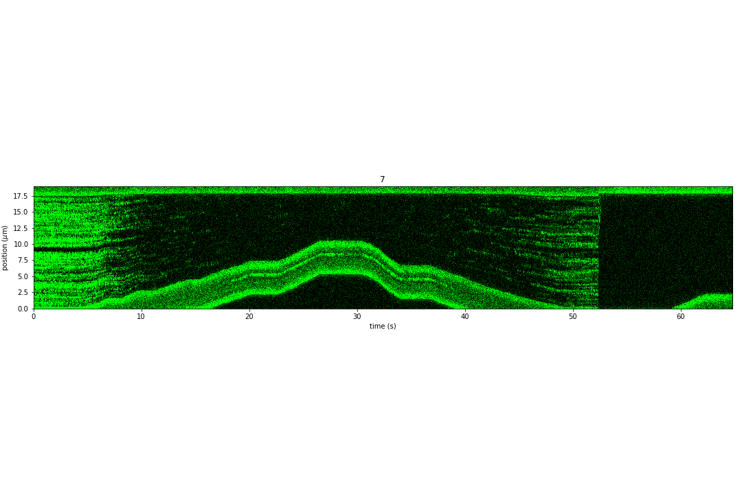 ../_images/dna_rna-protein_force_kymograph2.png