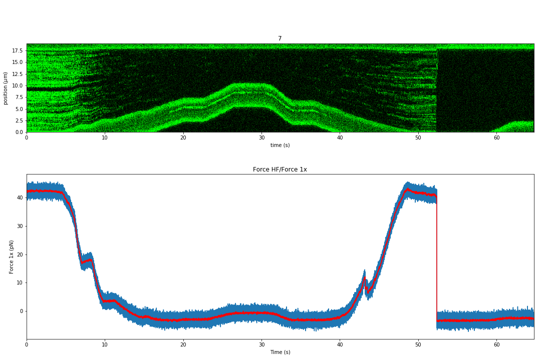 ../_images/dna_rna-protein_force_kymograph4.png